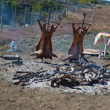 Cabanas Capitan Guillermo Hotel Punta Arenas Zewnętrze zdjęcie